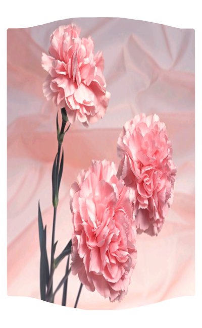 DNSLOG C 022 Pink Carnation 